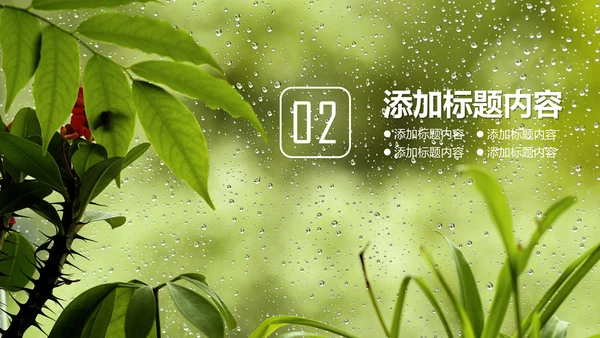 绿叶夏日雨季通用PPT模板