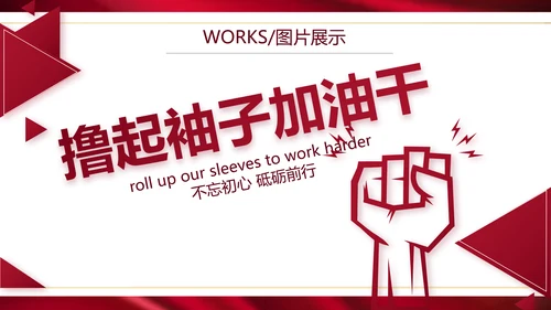 高端公司品牌产品介绍策划方案工作总结PPT