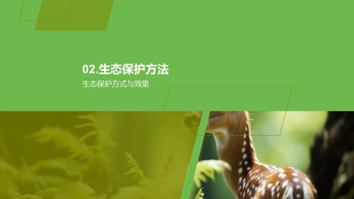 生态保全与生物多样性