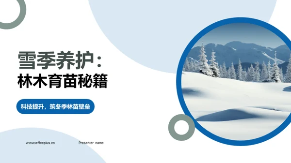 雪季养护：林木育苗秘籍