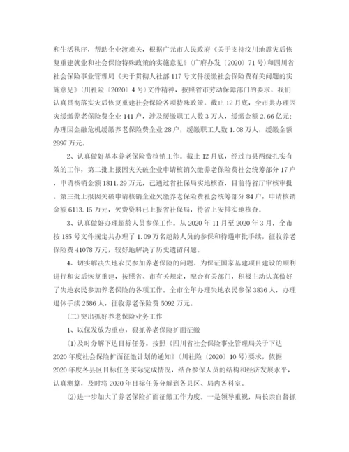 精编之年度养老保险个人总结范文.docx