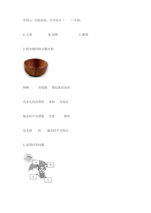 教科版小学二年级上册科学期末测试卷【b卷】.docx