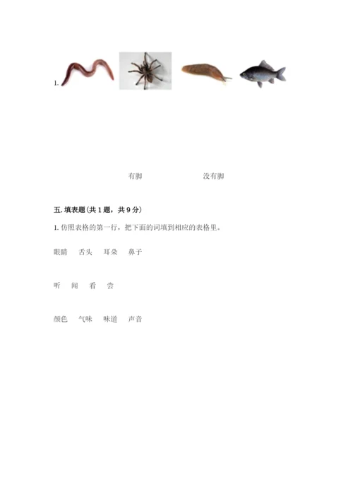 教科版一年级下册科学期末测试卷附参考答案【培优a卷】.docx