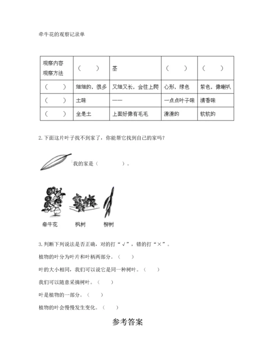 教科版科学一年级上册第一单元《植物》测试卷（实验班）.docx