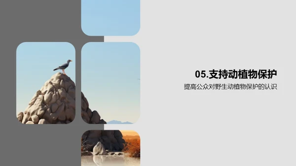 3D风其他行业教育活动PPT模板