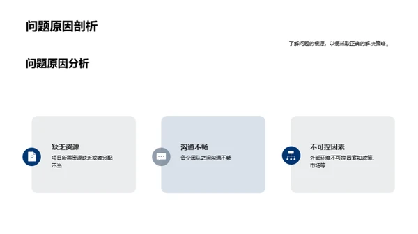 项目进展和策略分析