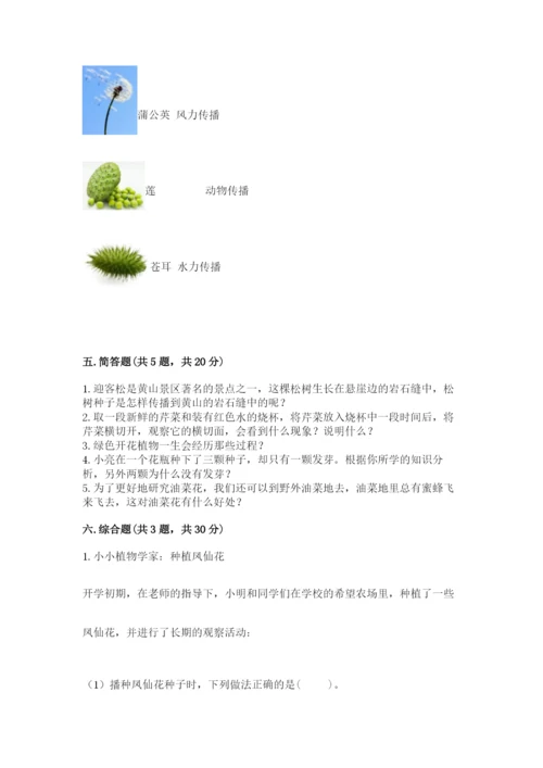 科学四年级下册第一单元《植物的生长变化》测试卷含答案【培优a卷】.docx