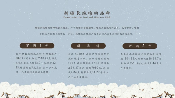 新疆长绒棉通用PPT模板