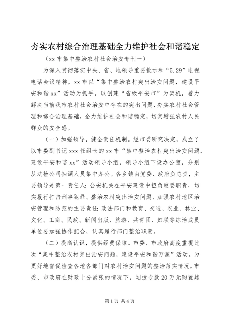 夯实农村综合治理基础全力维护社会和谐稳定 (2).docx
