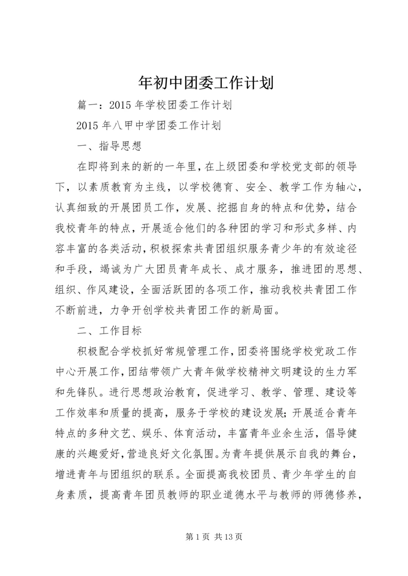 年初中团委工作计划.docx