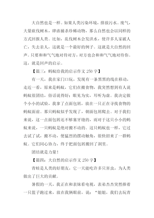 什么的启示作文250字.docx