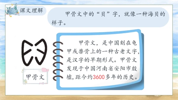 【核心素养】部编版语文二年级下册-识字3. “贝”的故事 第2课时（课件）