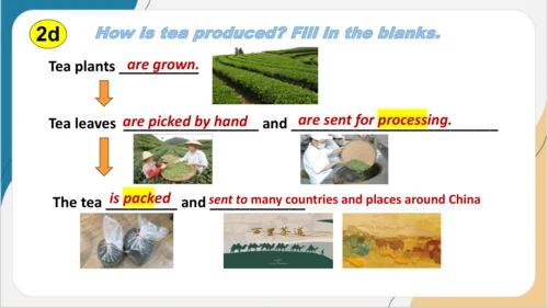Unit 5 What are the shirts made of ？ Section A(1a-