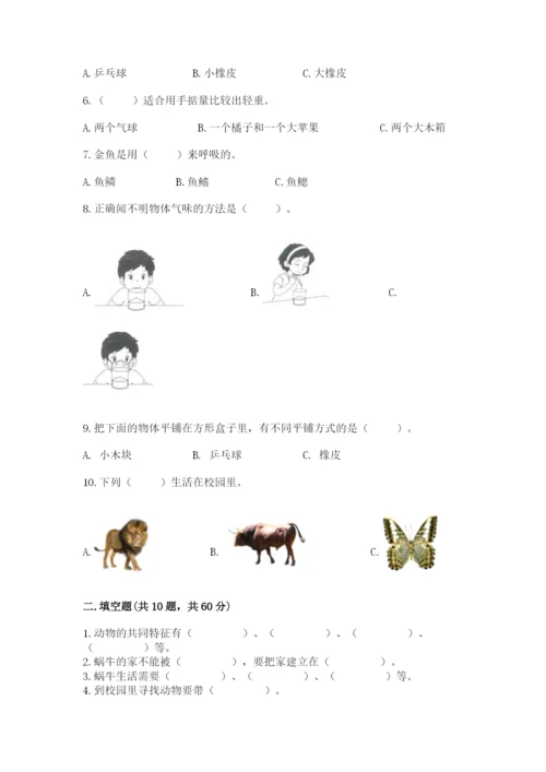 教科版一年级下册科学期末测试卷【突破训练】.docx