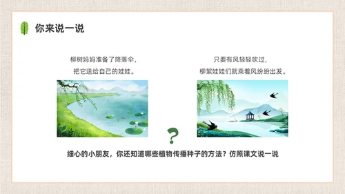 插画简约植物妈妈有办法课件PPT