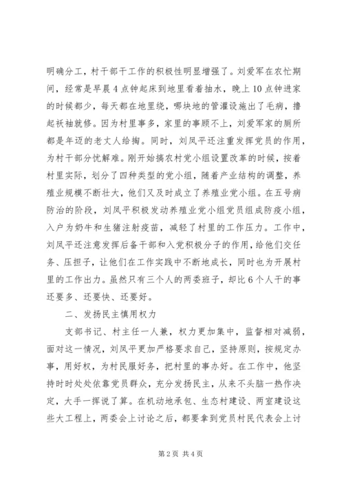 村党支部书记个人事迹 (3).docx