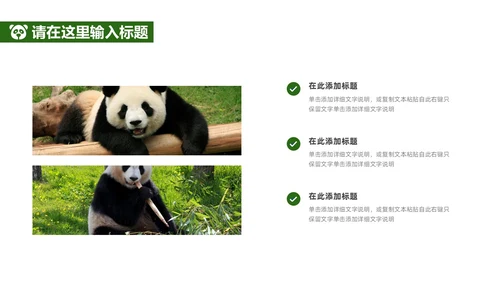 绿色实拍风保护大熊猫科普主题PPT模板