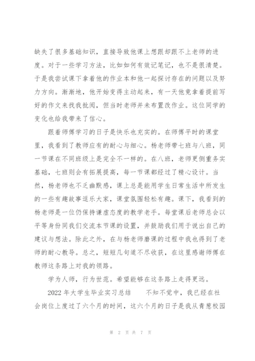 2022年大学生毕业实习总结.docx