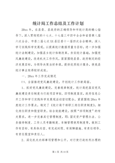 统计局工作总结及工作计划 (2).docx