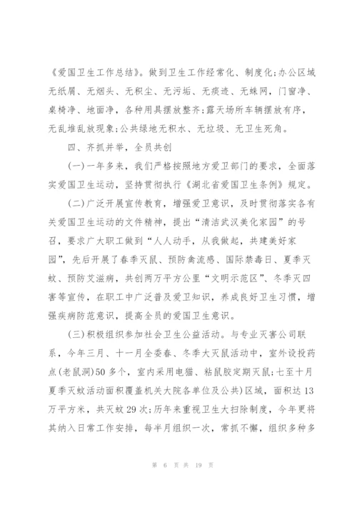 街道爱国卫生工作总结优秀范文.docx