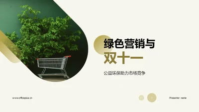 绿色营销与双十一