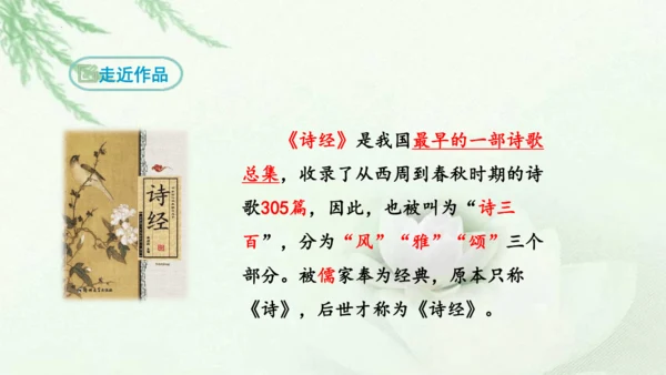 第12课《诗经二首》课件(共51张PPT)