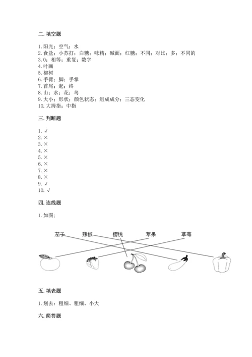 教科版一年级上册科学期末测试卷1套.docx