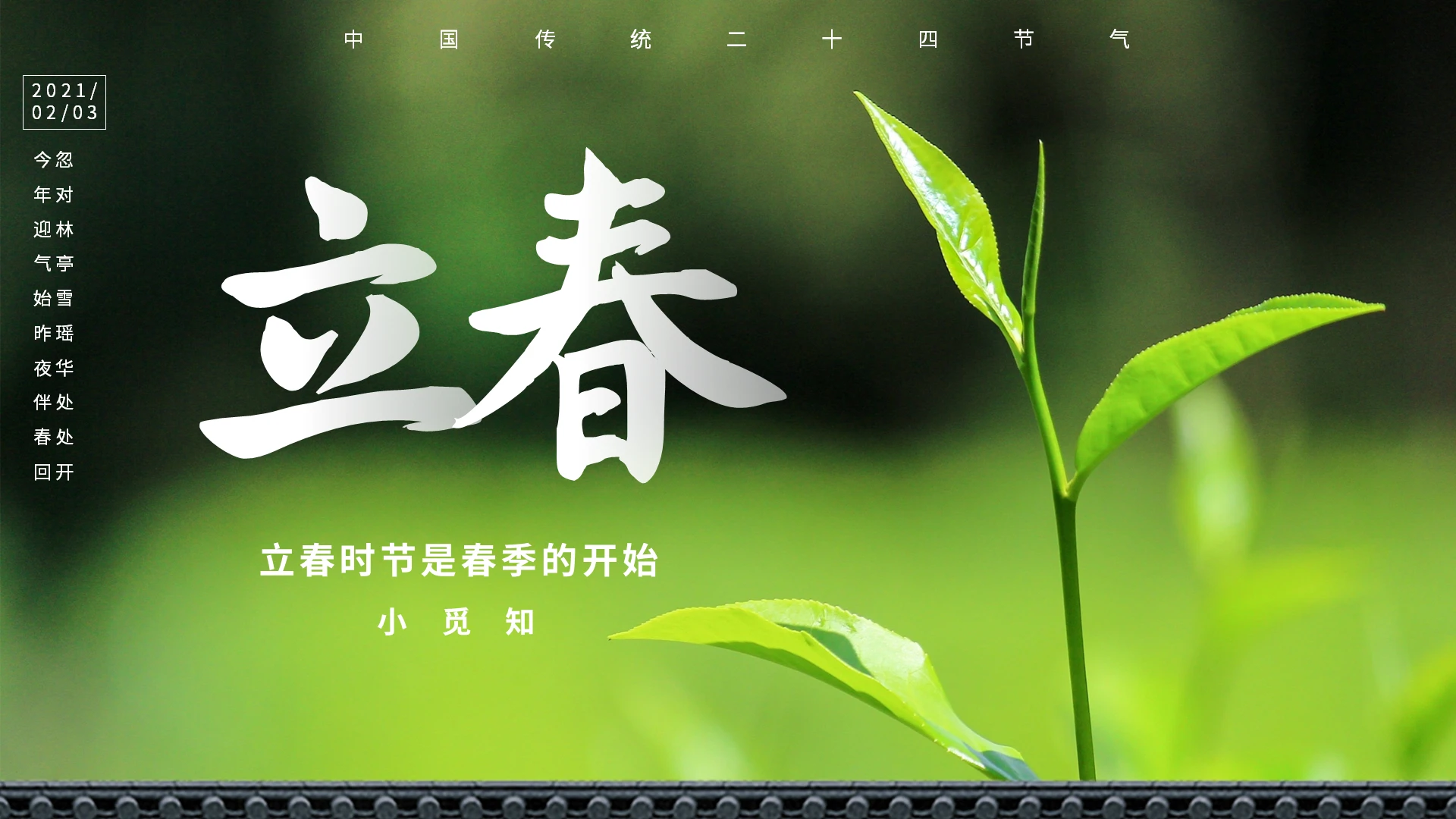 简约立春时节是春季的开始PPT模板宣传PPT动态PPT