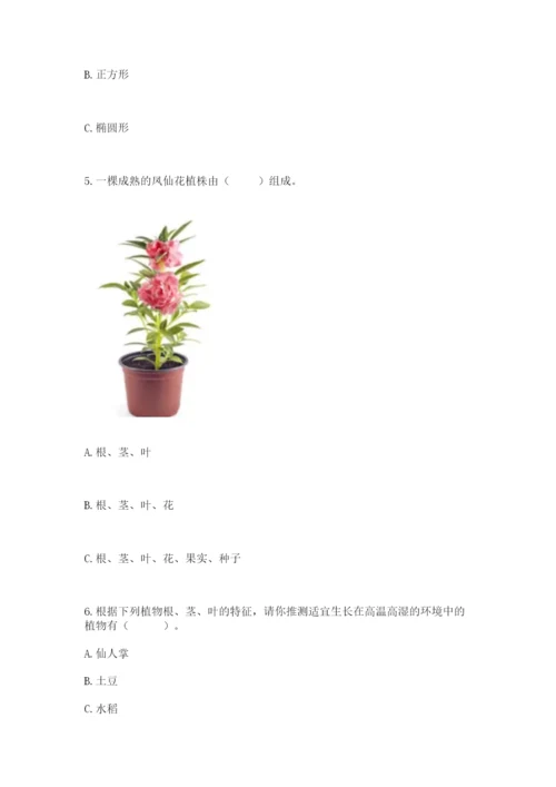 教科版四年级下册科学第一单元《植物的生长变化》测试卷精品（巩固）.docx