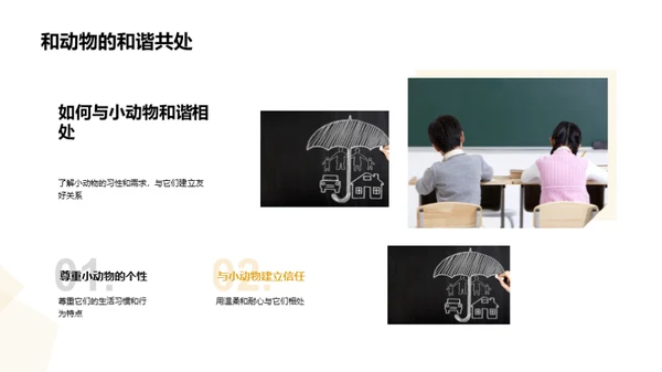 我们的小小动物园