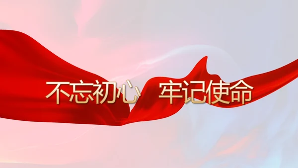 红色党建党支部工作总结学习教育PPT
