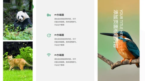 绿色自然生态动物保护宣传通用PPT模板