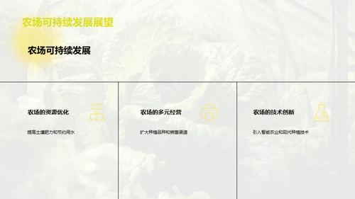 农场种植：现状与未来