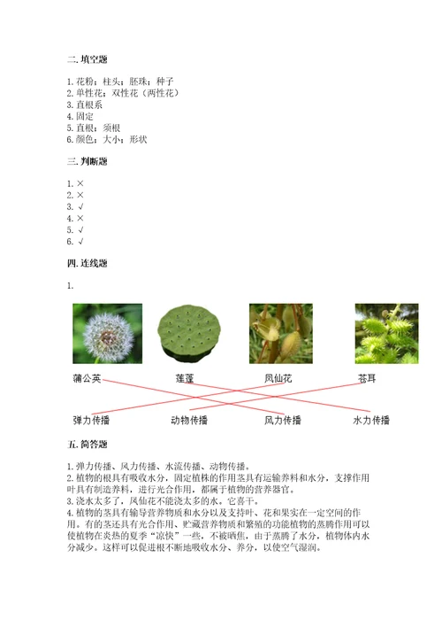 科学四年级下册第一单元《植物的生长变化》测试卷及答案（全优）