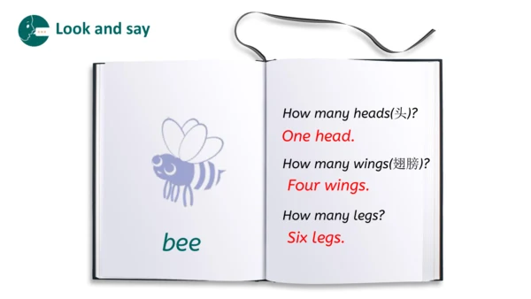 Unit 6 Useful numbers  Part B Let's learn(优课）课件（19