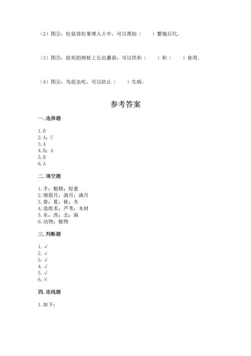 教科版二年级上册科学期末测试卷带答案（培优b卷）.docx