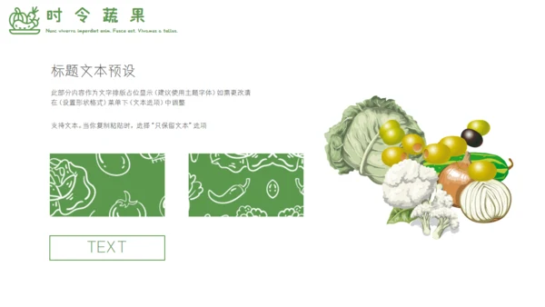 小清新手绘时令蔬果运营推广通用PPT模板