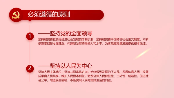 党支部党员大会工作总结PPT模板