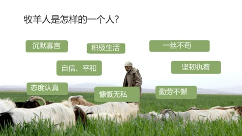 第13课《植树的牧羊人》课件(共35张PPT)