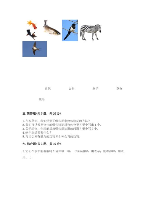 教科版一年级下册科学期末测试卷附参考答案（轻巧夺冠）.docx