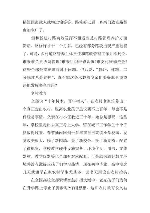 个人春节回乡调研研究报告.docx