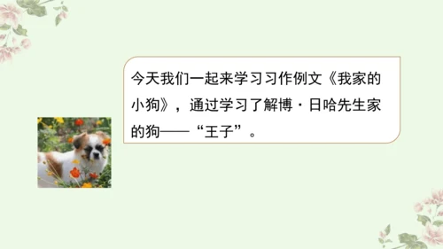 第五单元习作例文我家的小狗