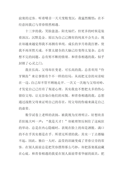 与什么悄然相逢作文.docx