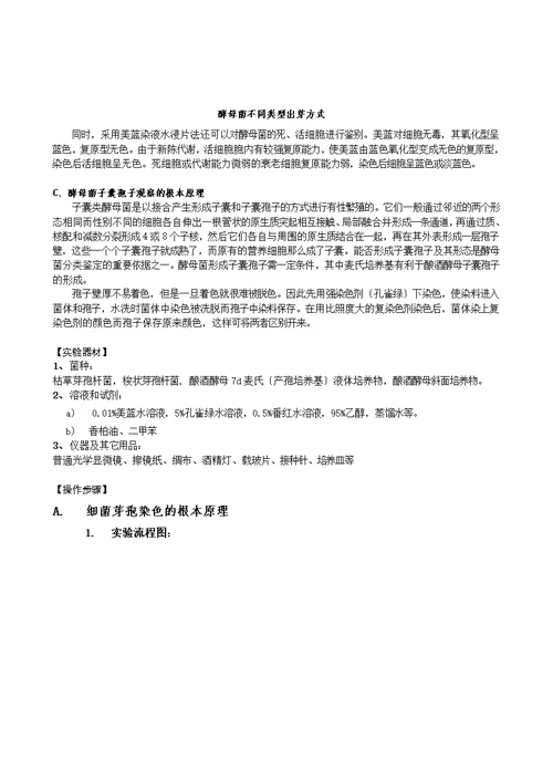 细菌芽孢染色及酵母菌的观察-山东大学