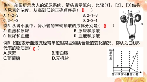 第四单元第五、六章复习课件(共33张PPT)人教版七年级下册