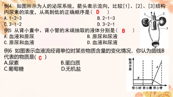 第四单元第五、六章复习课件(共33张PPT)人教版七年级下册
