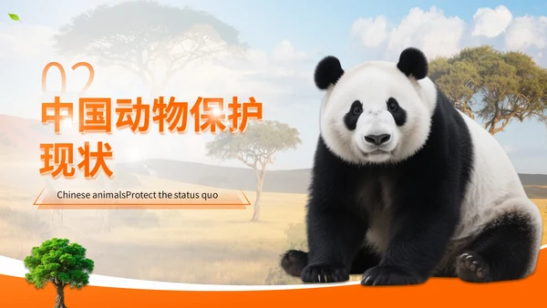 橙色世界动物日志愿者科普PPT模板