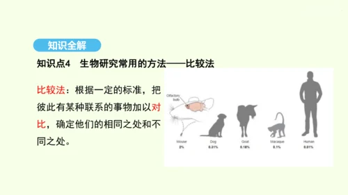 7.3.2生物进化的历程课件-人教版生物八年级下册(共23张PPT)