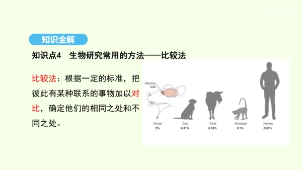 7.3.2生物进化的历程课件-人教版生物八年级下册(共23张PPT)
