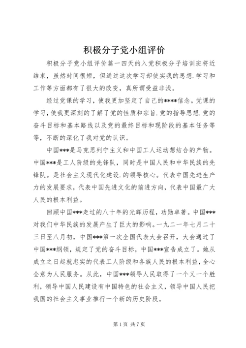 积极分子党小组评价.docx